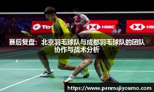 mk体育官网入口