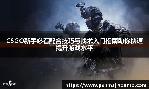 mk体育官网入口