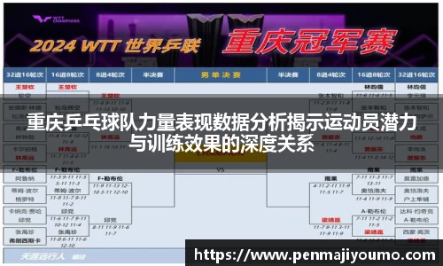 mk体育官网入口