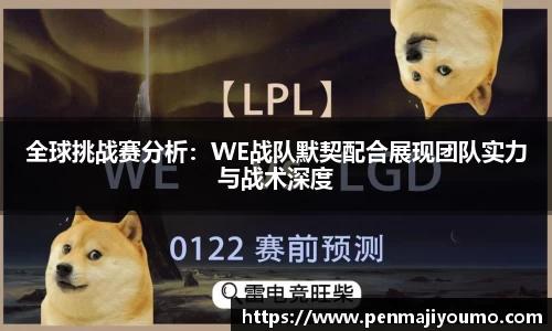 mk体育官网入口