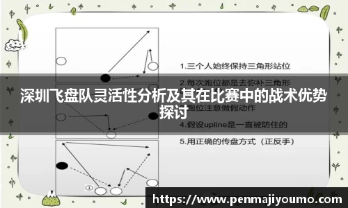 深圳飞盘队灵活性分析及其在比赛中的战术优势探讨