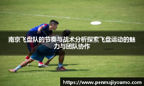 MKsports集团